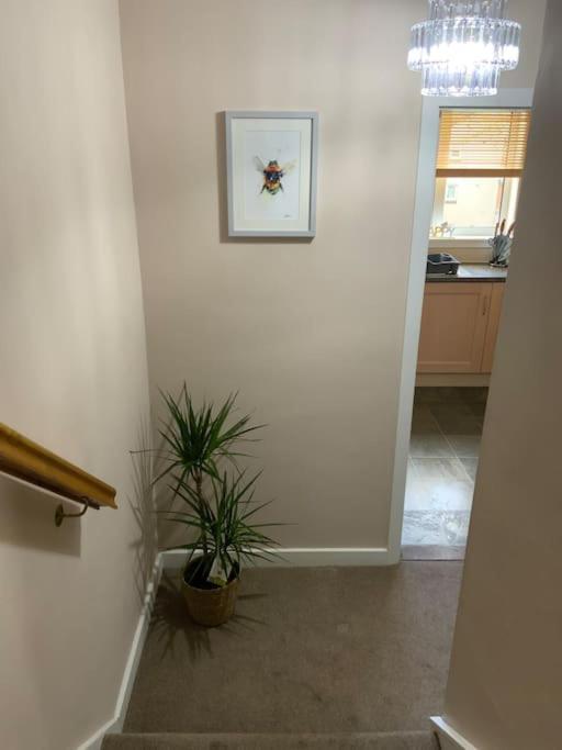Home From Home, 3 Bedroom House In Hawick Εξωτερικό φωτογραφία